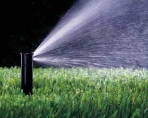image054
